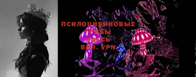 Псилоцибиновые грибы MAGIC MUSHROOMS Борисоглебск